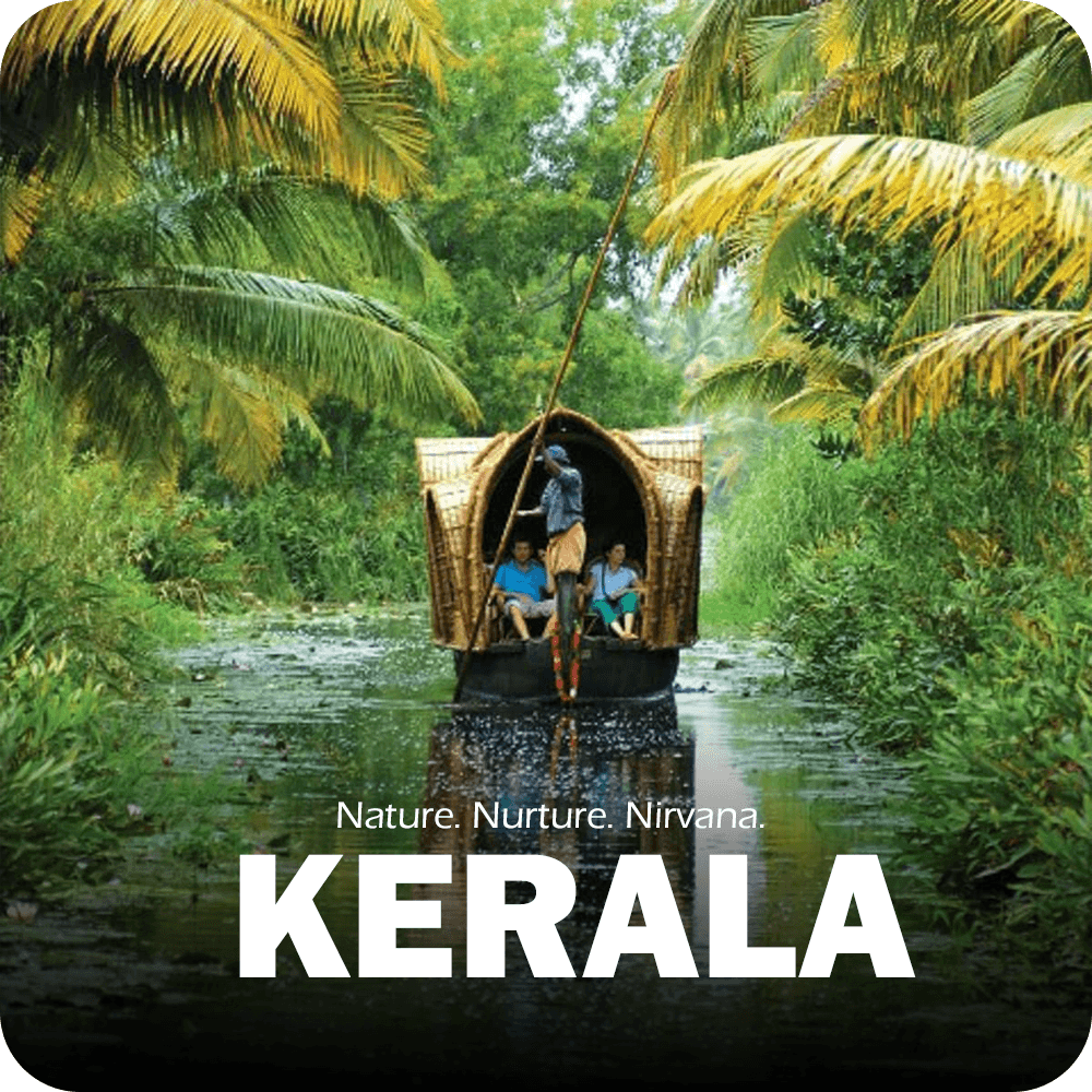 A vibrant scene from Udaipur