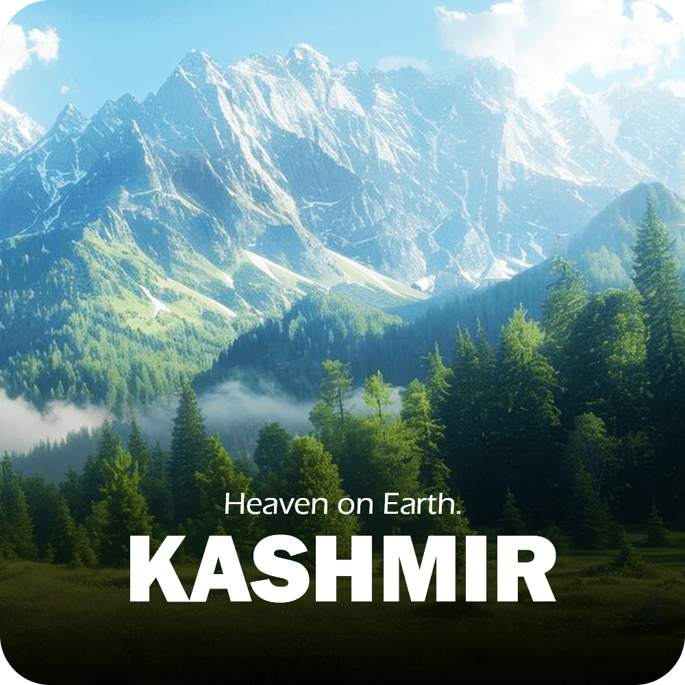 A vibrant scene from Kashmir