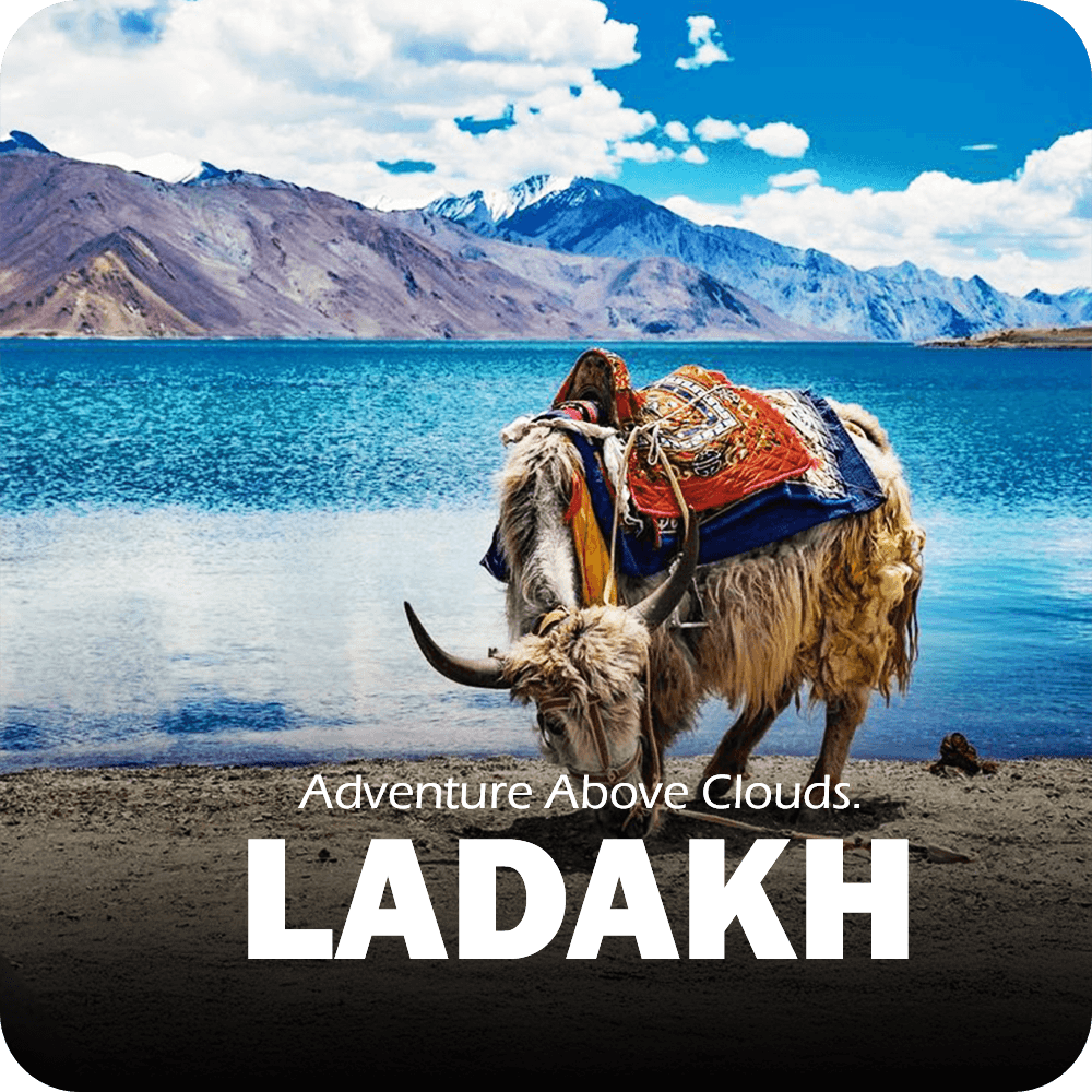 A vibrant scene from Ladakh