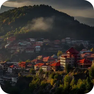 Other Travel Companies