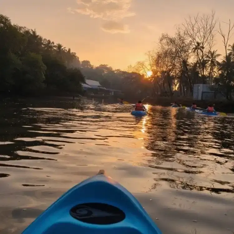 Kayak the Backwaters