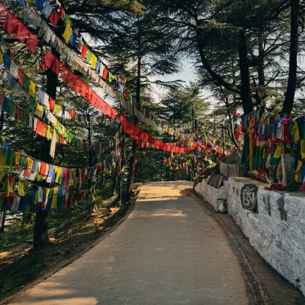 Dharamshala vs Manali