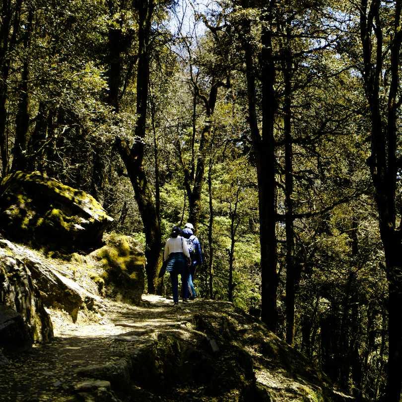 Tea stalls and the trekking start point at the top of Jalori Pass, where the Serolsar Lake and Raghupur Fort day walks begin