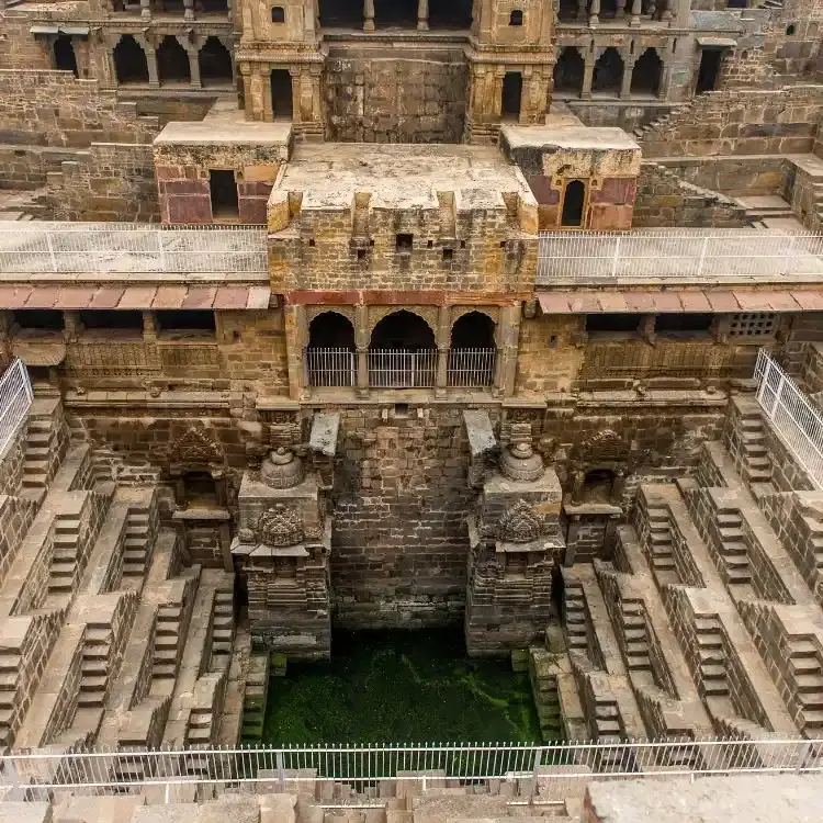 Duck Down a Stepwell