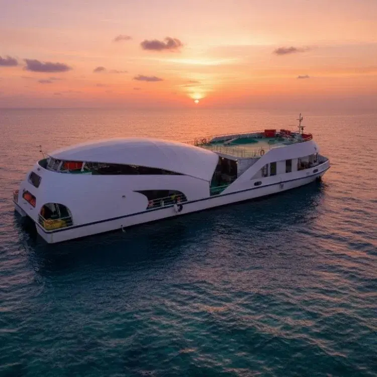 Take a Mandovi River Cruise