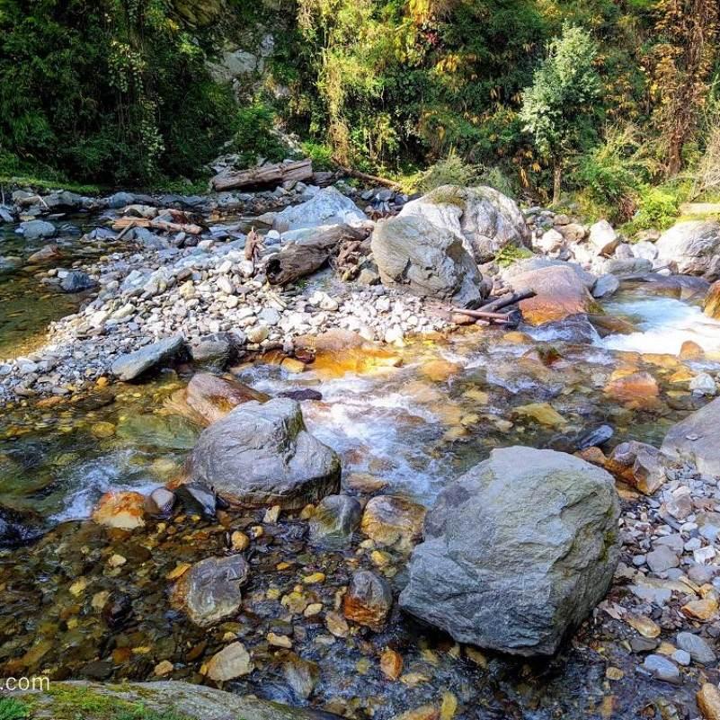 Nature’s calm in Jibhi.jpg