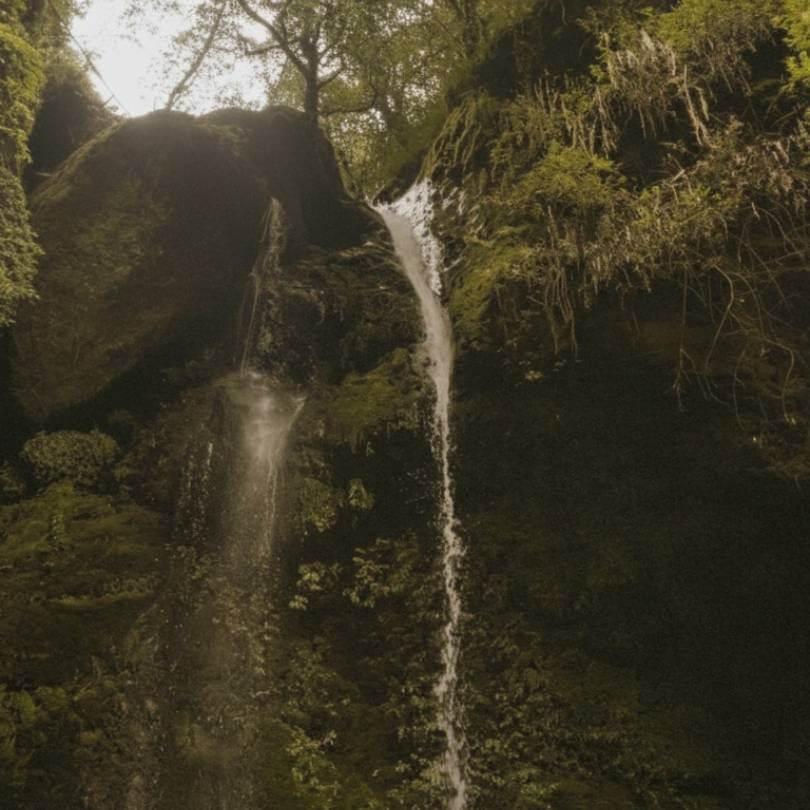 Visit Jibhi Waterfall