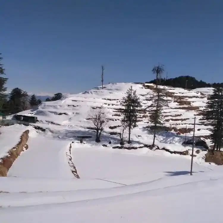 Play in the Snow at Kufri