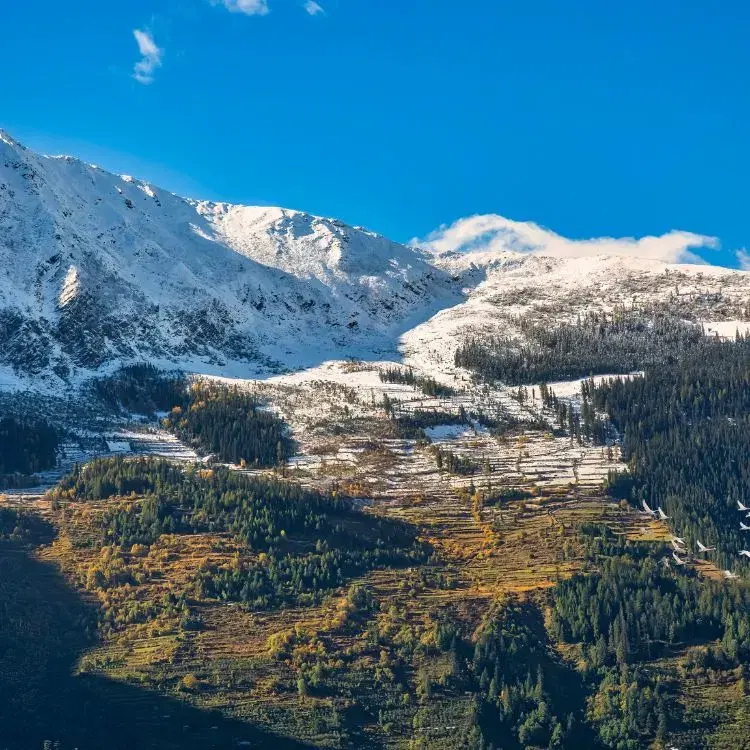 Narkanda Scenic Viewpoints