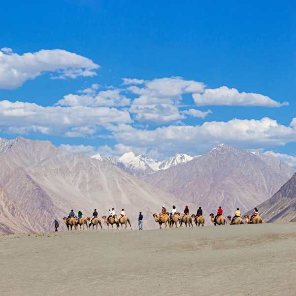 The cold desert dunes at Hunder in Nubra Valley, a compact belt of sand at around 3,050 metres with Karakoram peaks behind