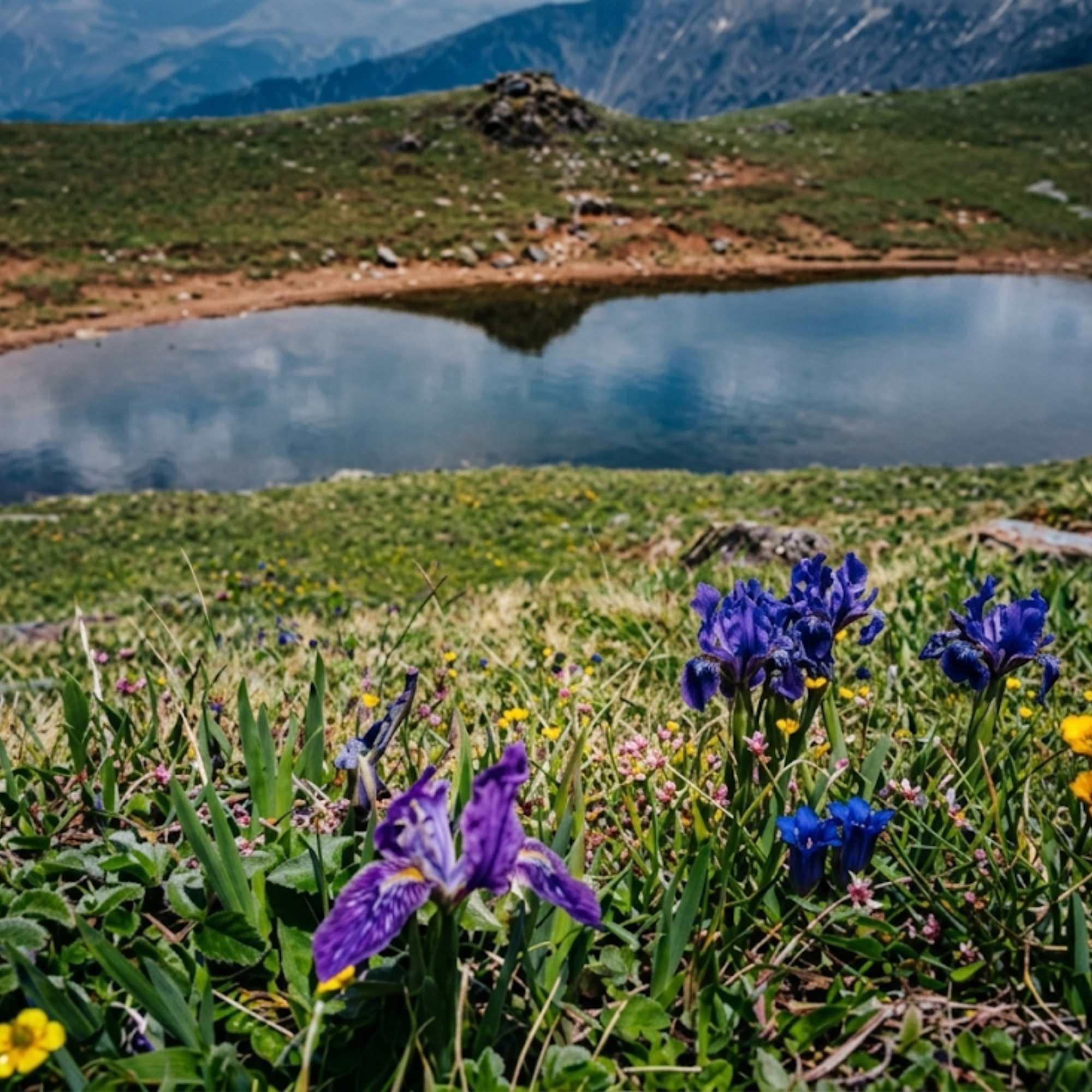 Remote Himalayan Lake Experience at Saru Lake.jpg