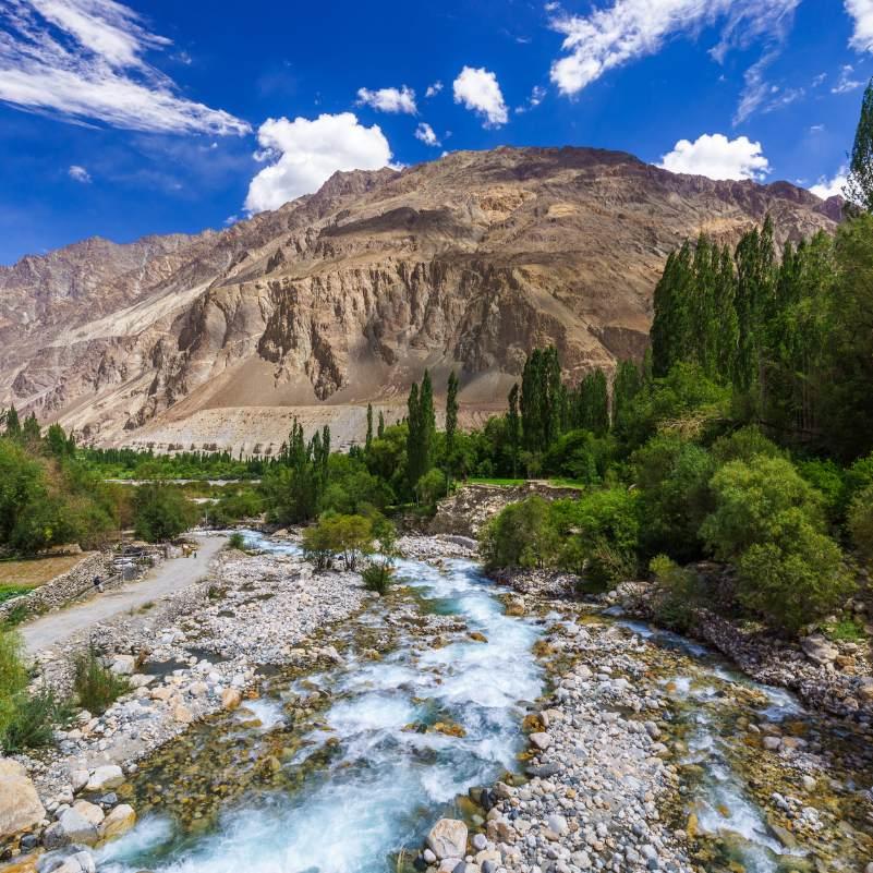 Green fields and traditional Balti homes in Turtuk village Ladakh