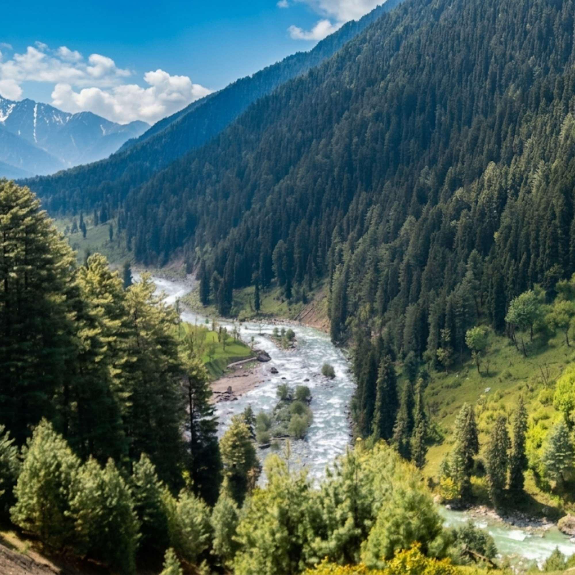 Kashmir in September
