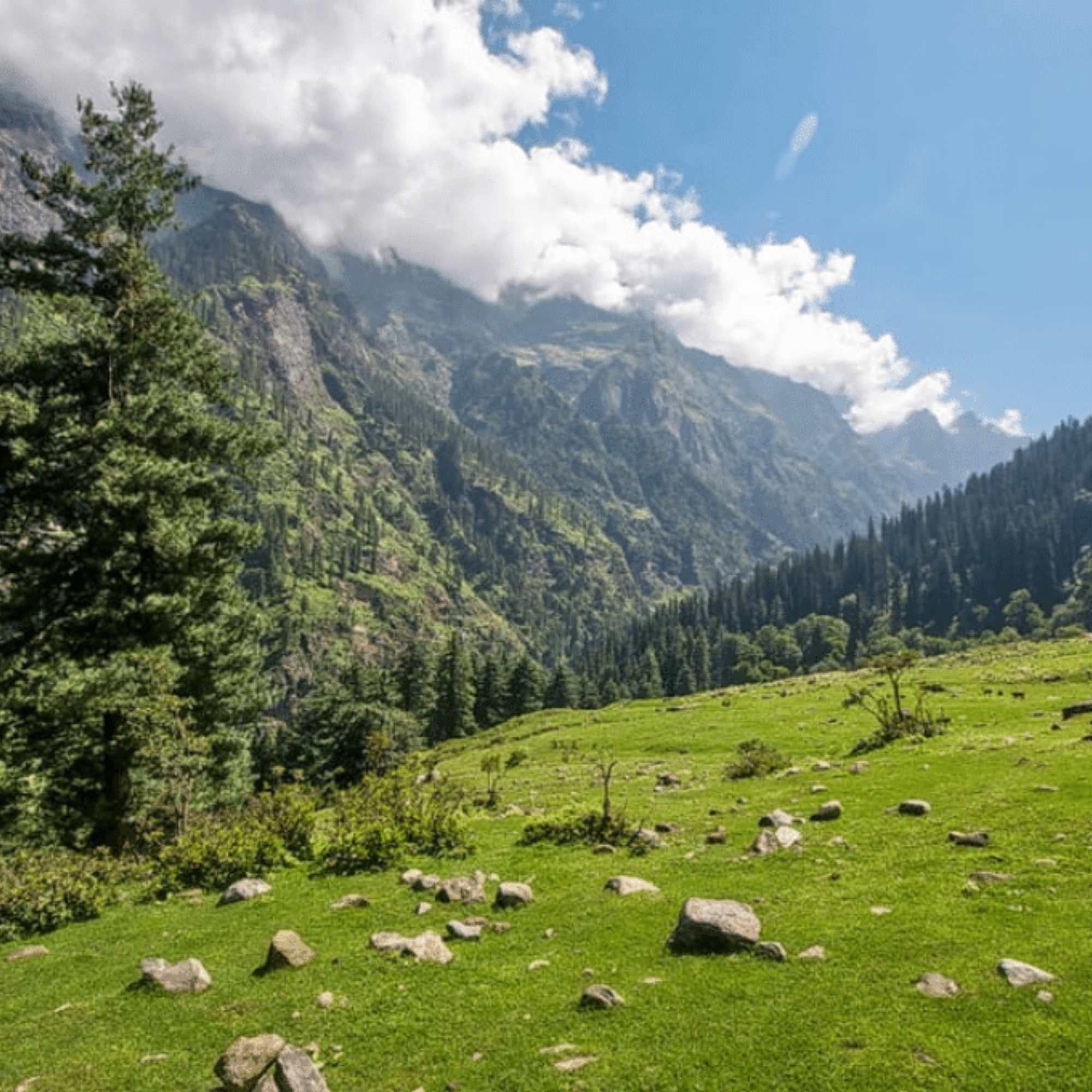 Panoramic view from Green Valley viewpoint between Shimla and Kufri