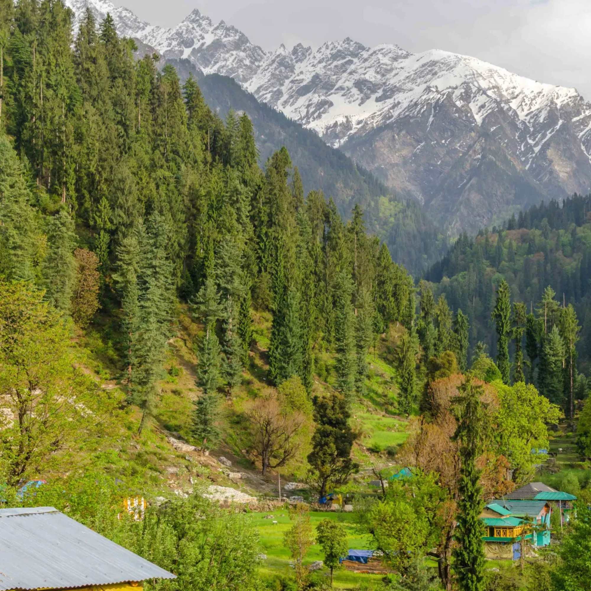 Traditional wooden houses and breathtaking landscapes make Grahan Village a hidden gem in Himachal Pradesh.jpg