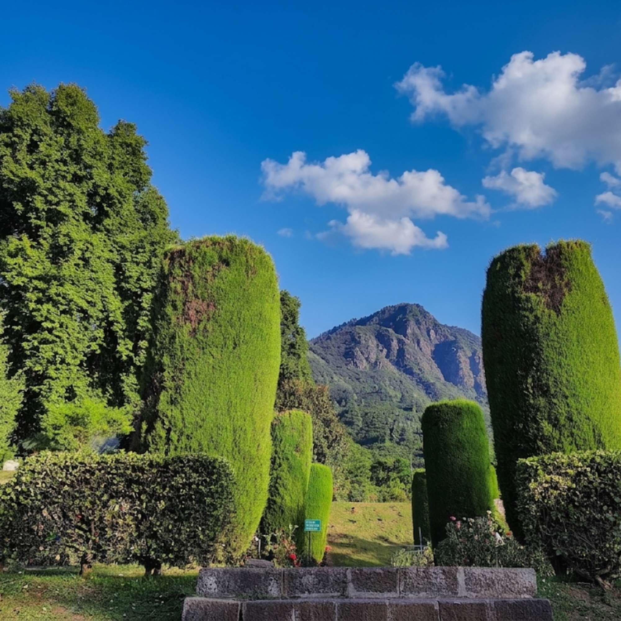 Famous Tourist Attraction – Chashme Shahi Srinagar.jpg