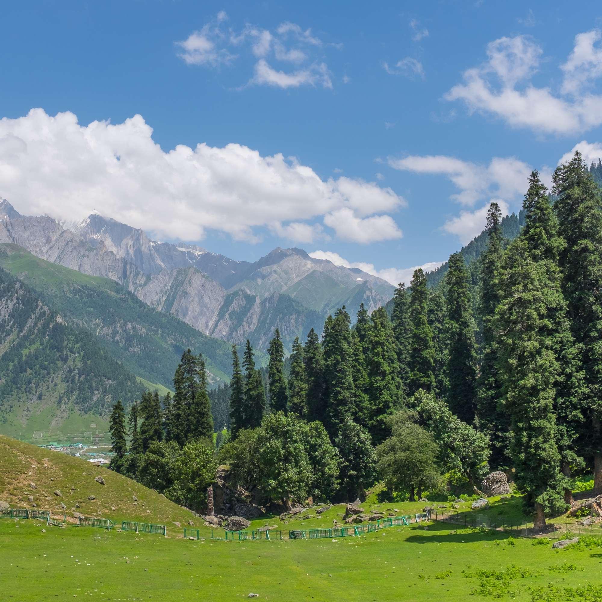 Sonamarg valley landscape with Himalayan peaks behind