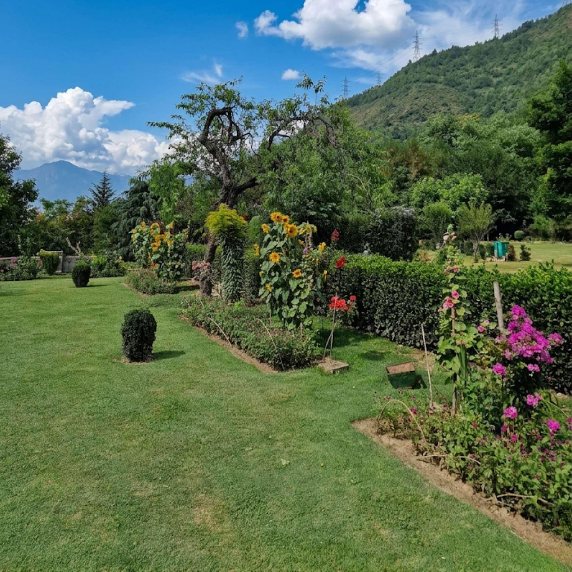 Kashmir's Famous Mughal Gardens.jpg