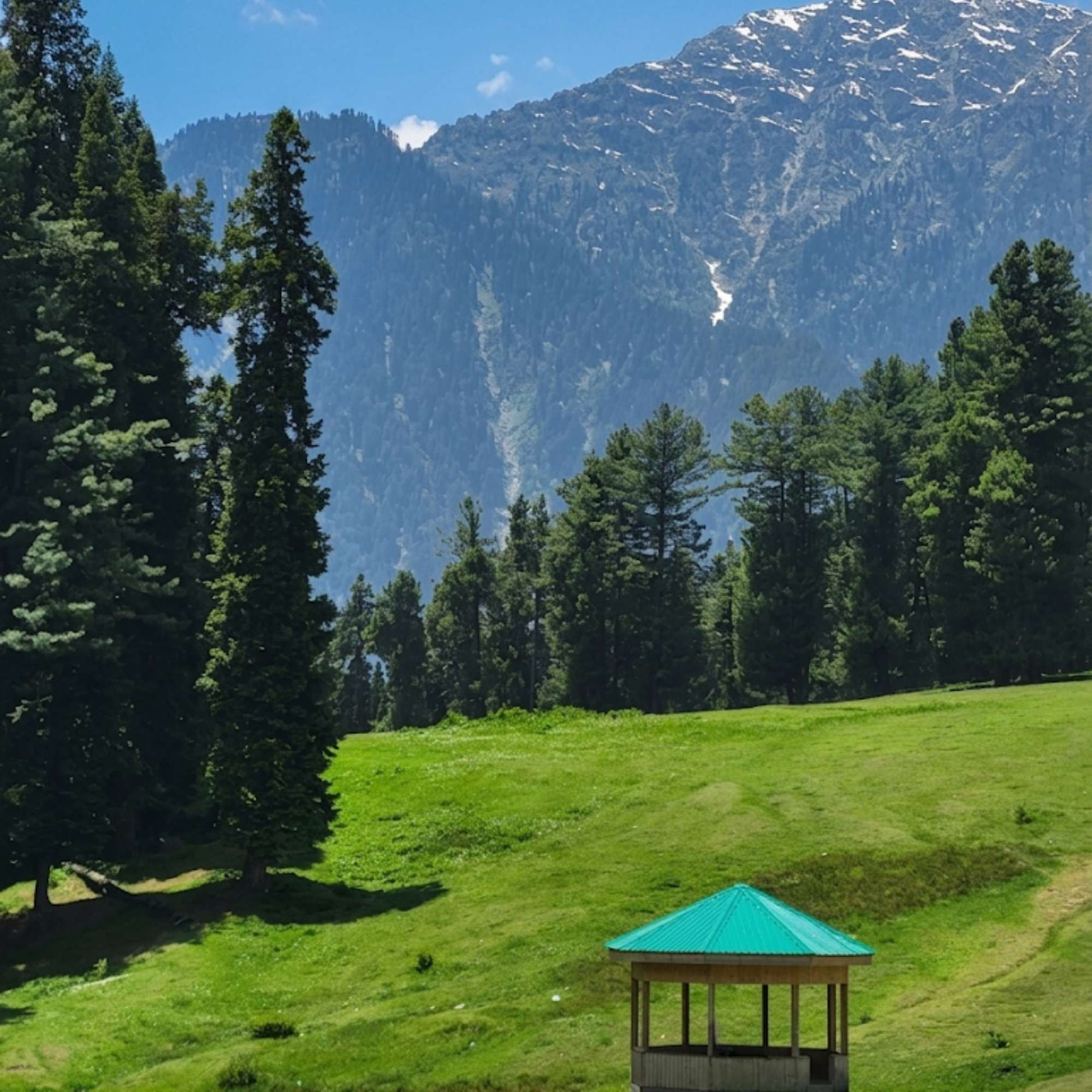 Wide green meadow at Baisaran Valley surrounded by pine forests