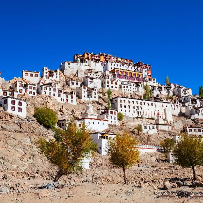 Thiksey Monastery overlooking the green Indus valley floodplain from its hillock perch
