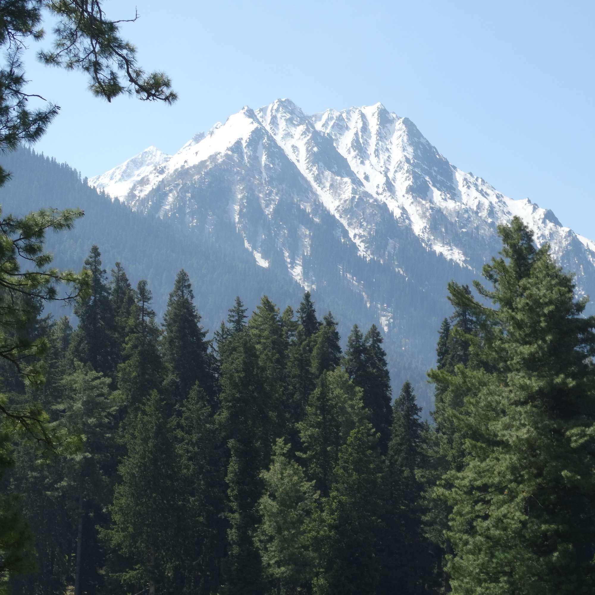 Scenic View of Srinagar Surrounded by Mountains.jpg