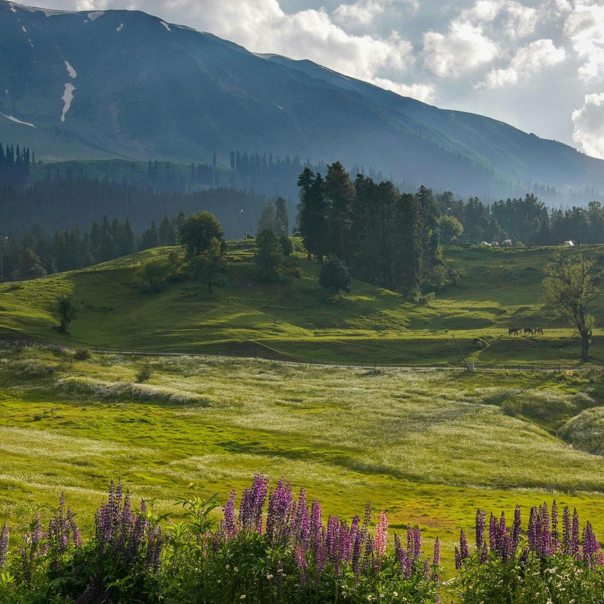 Kashmir itinerary 7 days