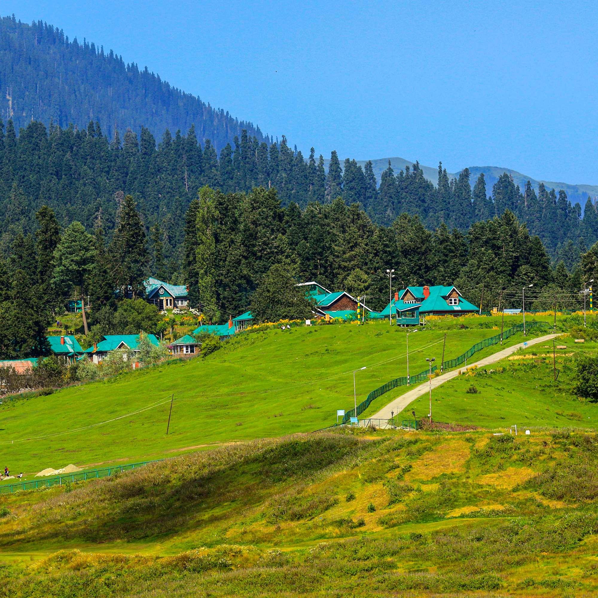Gulmarg meadow seen from above during the gondola ride