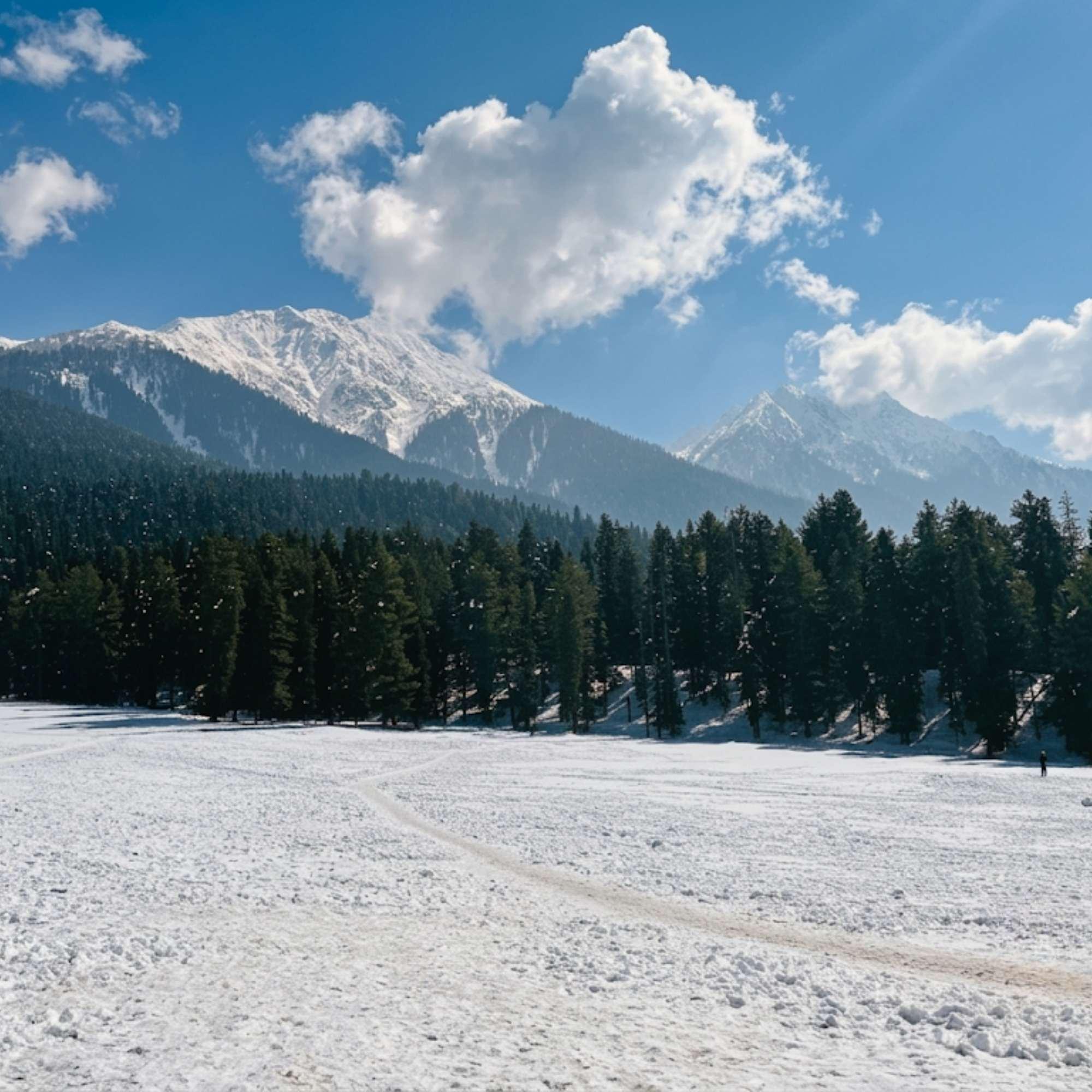Peaceful Escape to Baisaran Valley Near Pahalgam.jpg