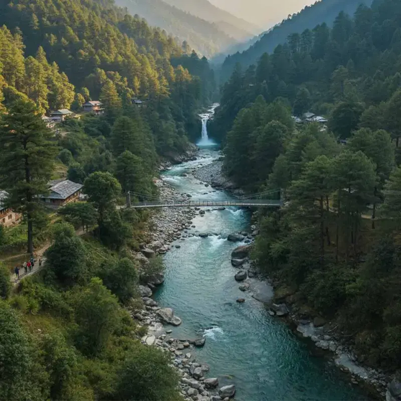 Have a Bonfire or Stargazing Evening