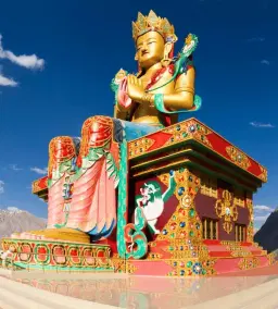 best-leh-ladakh-tour-with-nubra-pangong-and-tso-moriri-7d6n