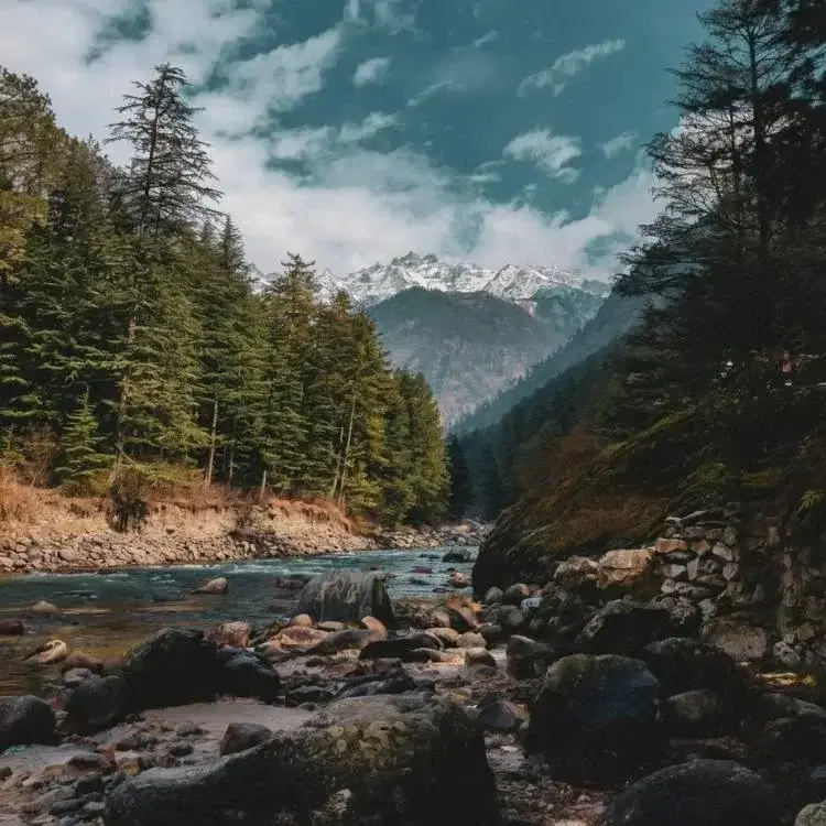 Manali Kasol Bir Paragliding Luxe Escape