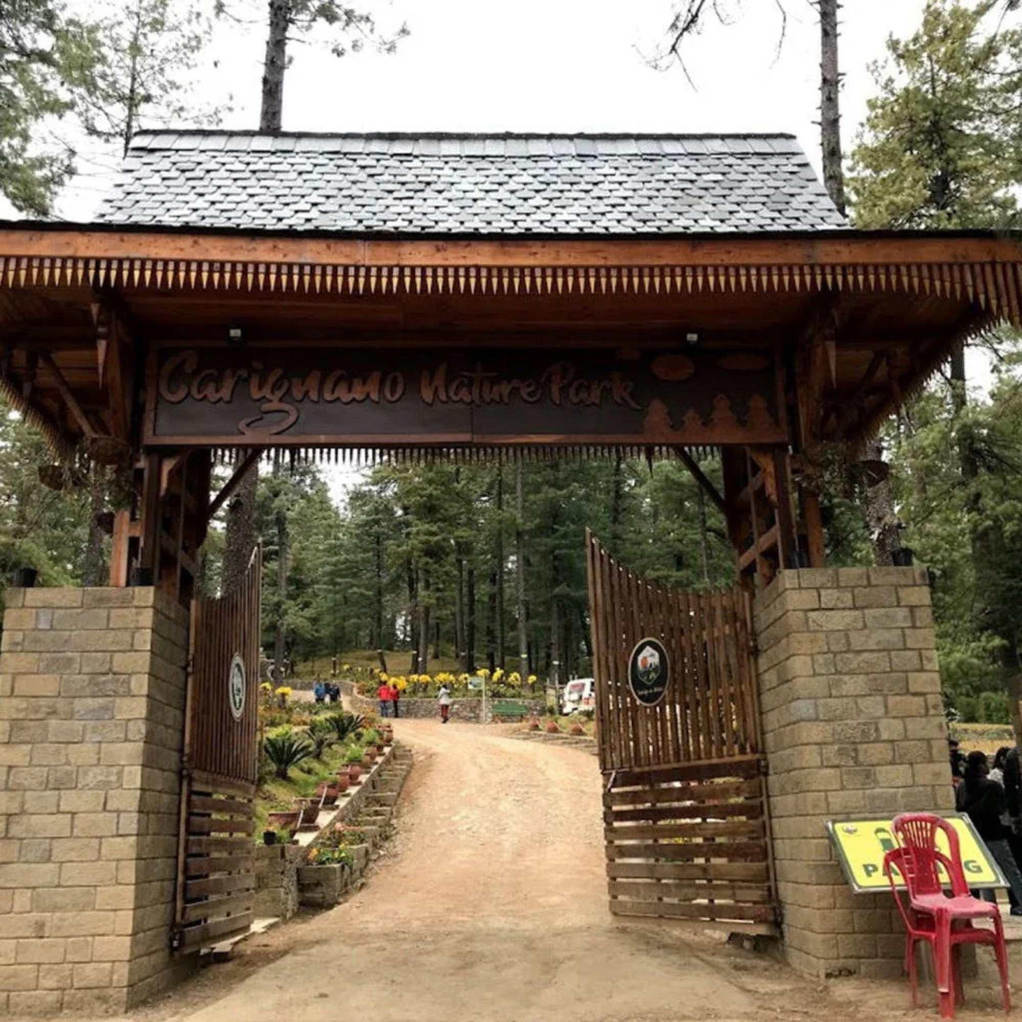 Open meadows of Naldehra with mountain views