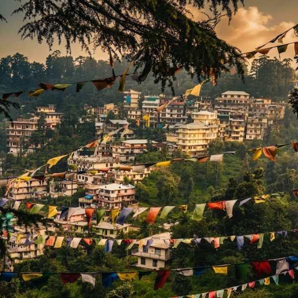 Dharamshala 4 Day Itinerary