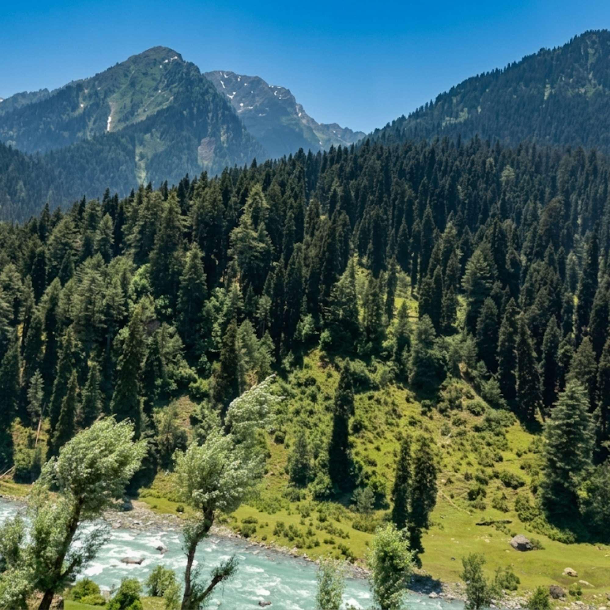 Lidder river flowing through Aru Valley in Kashmir