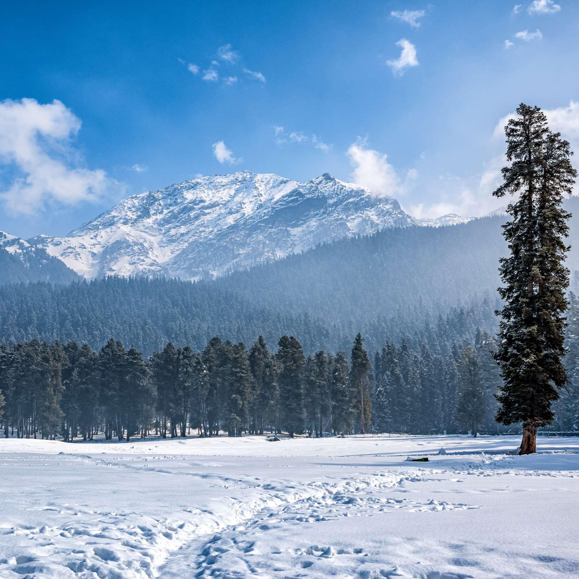 Baisaran Valley with snow capped mountains in the background