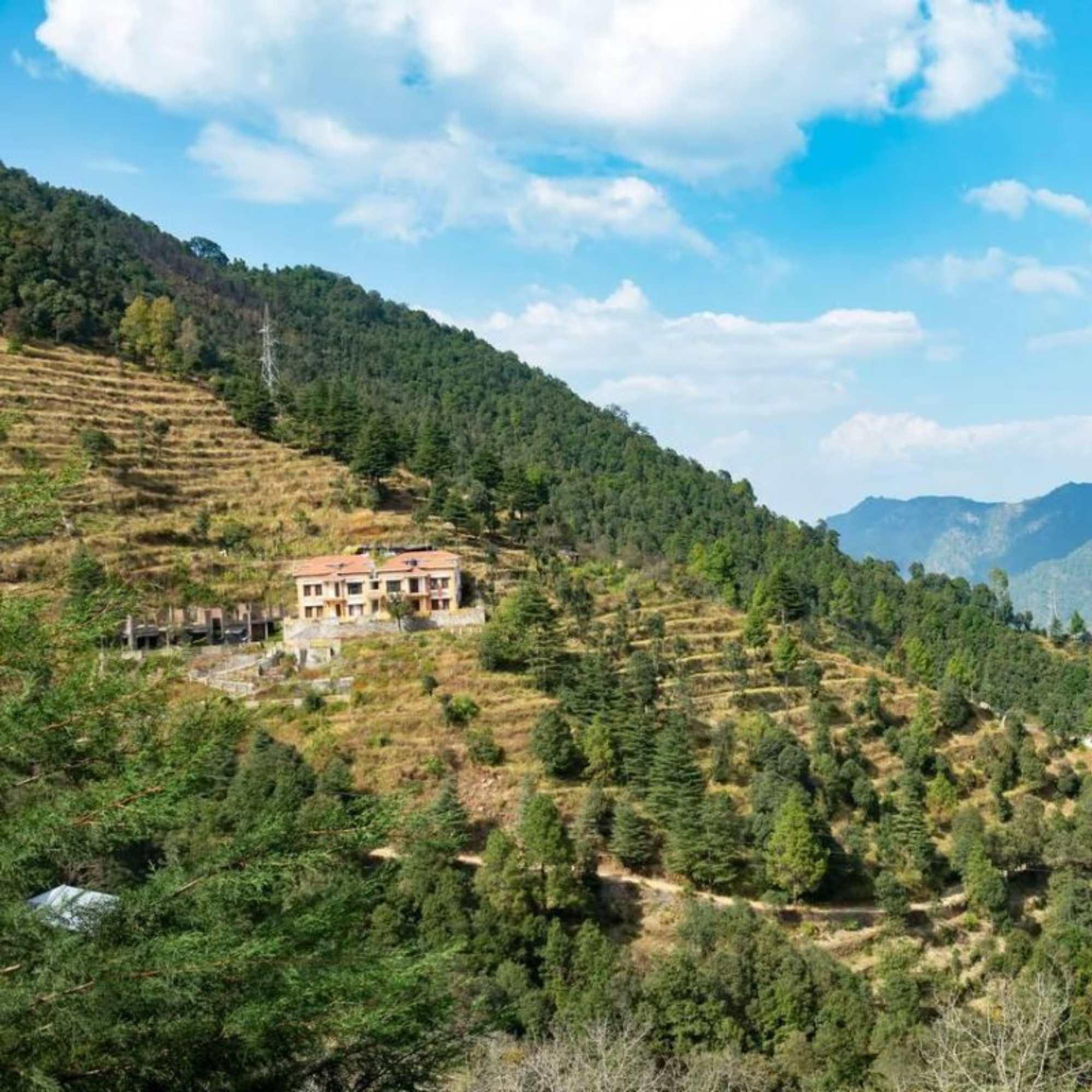 Apple orchards on the hillsides around Narkanda