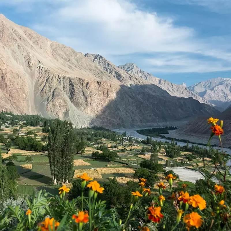 Snow-capped mountains overlooking Nubra Valley.jpg