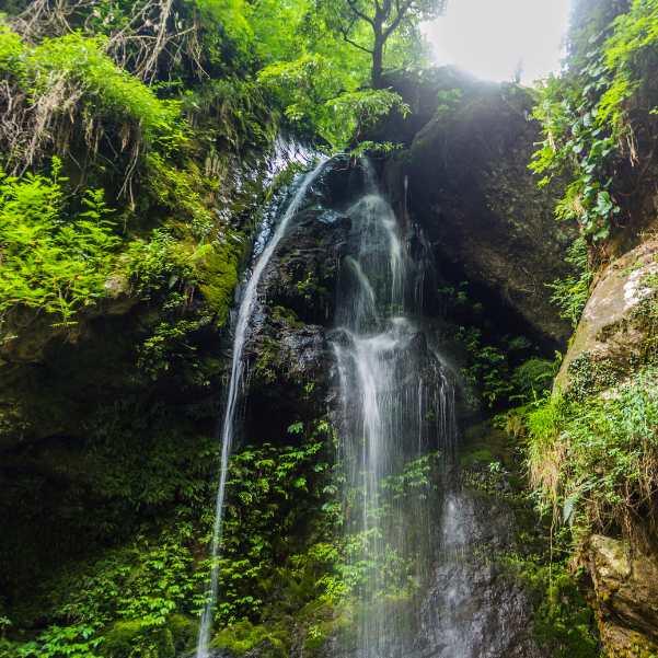 Walk to Jibhi Waterfall Together