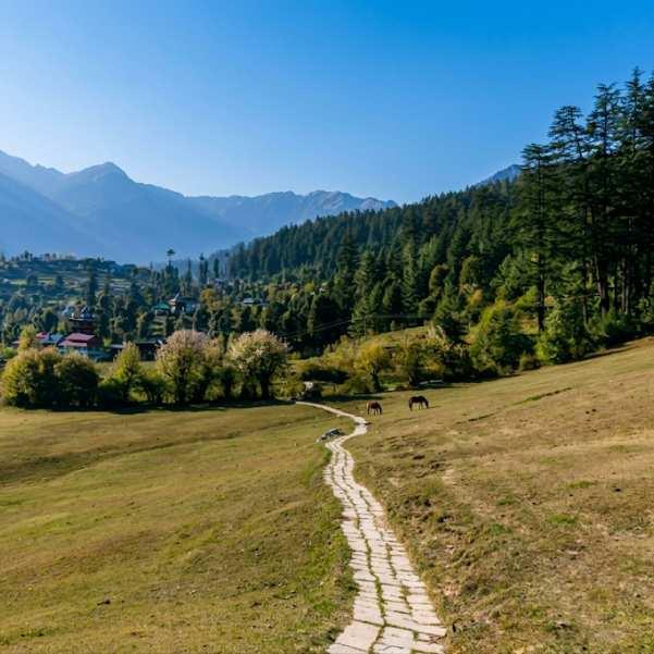 Best time to visit Shangarh and Sainj Valley