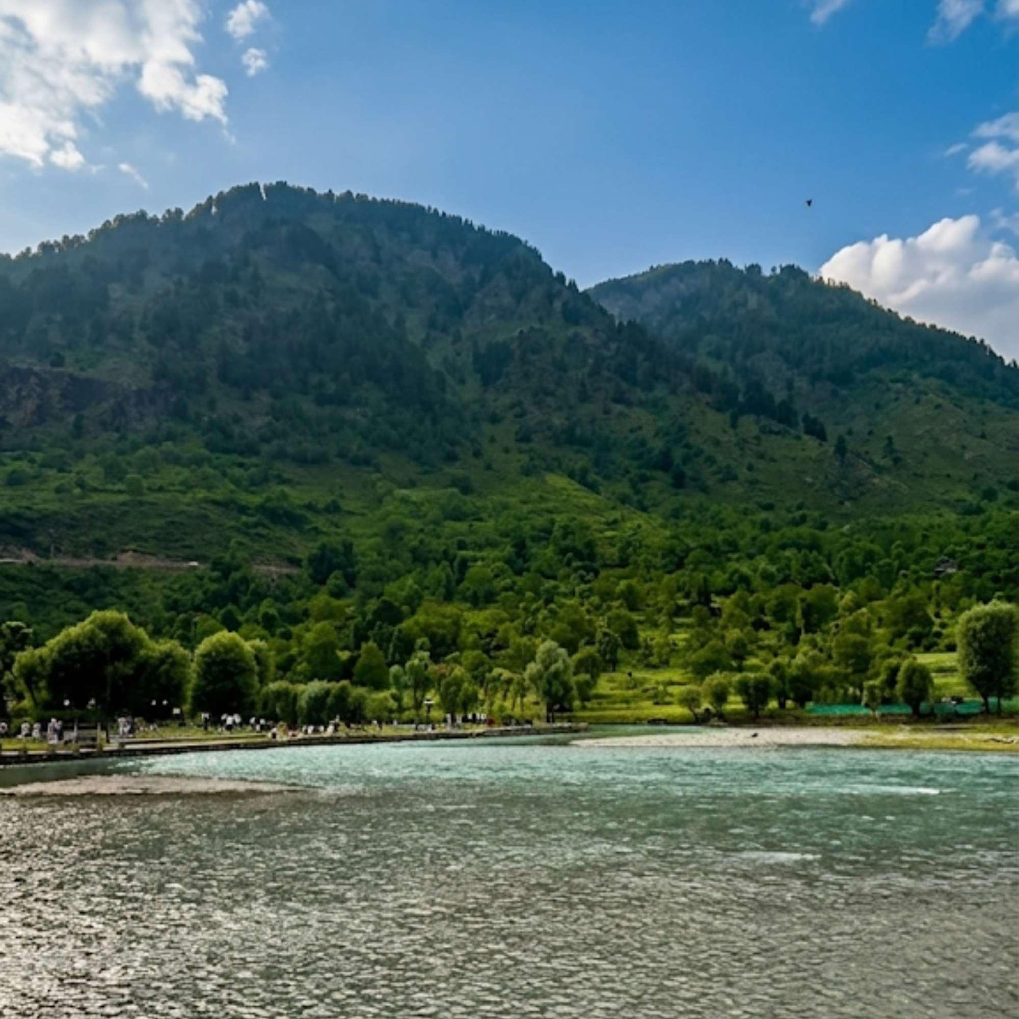 Betaab Valley with pine forests and mountain backdrop