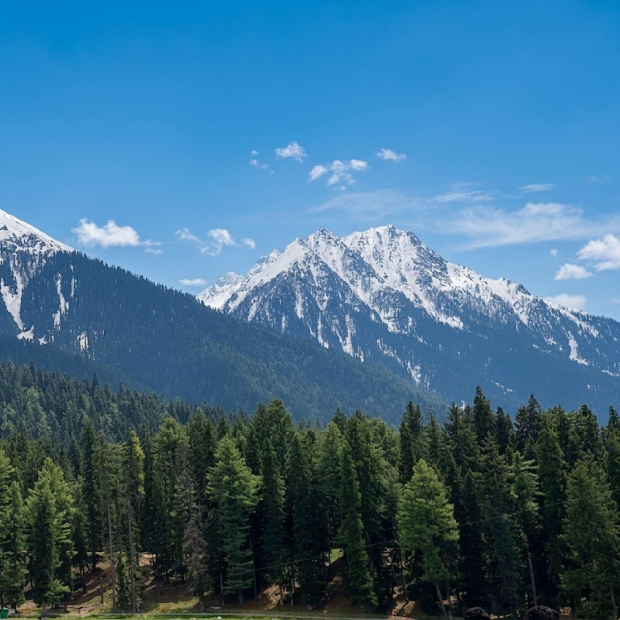 Scenic view of Baisaran Valley near Pahalgam Kashmir