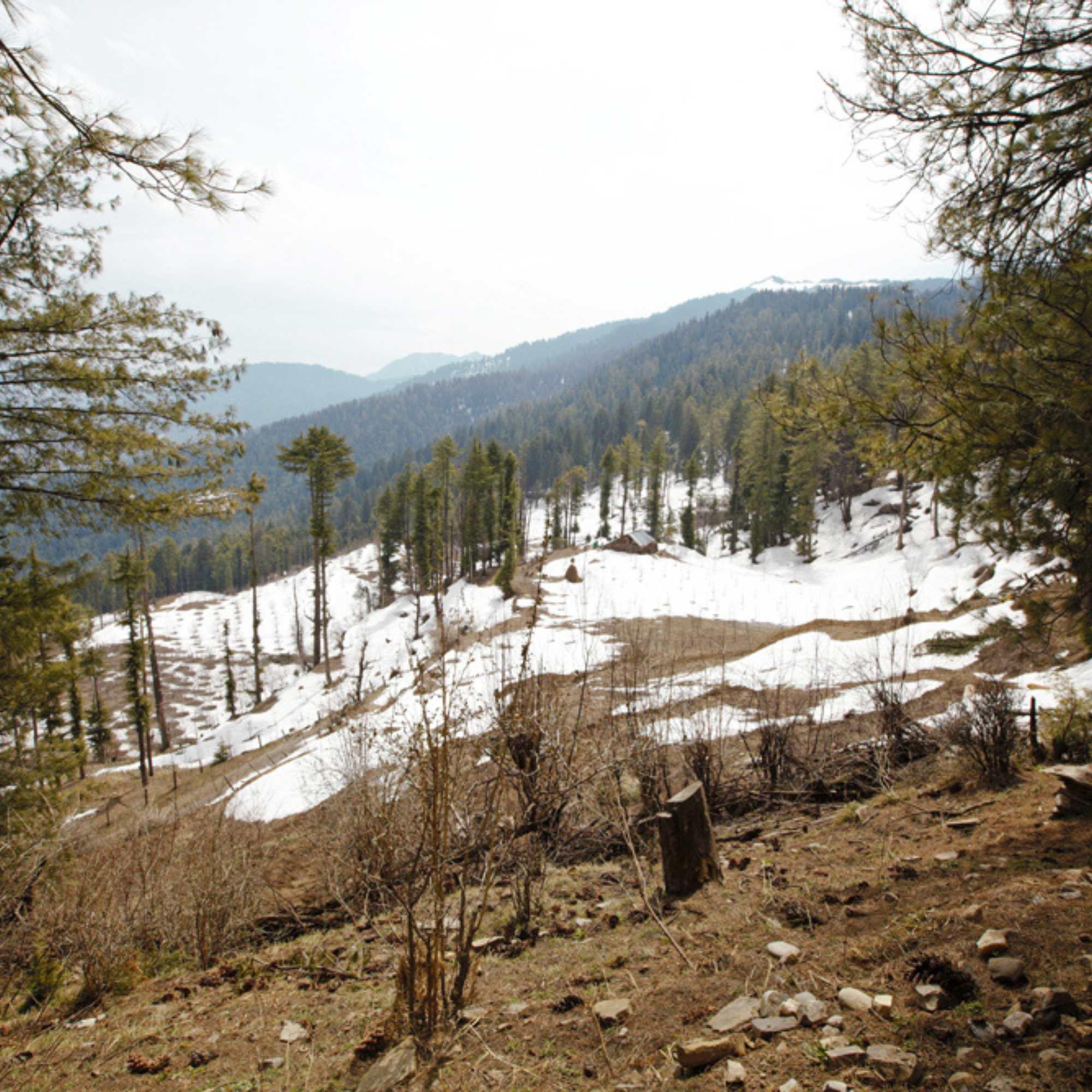 Scenic road view of Kharapathar with forests, apple farms and peaceful mountain landscapes.jpg