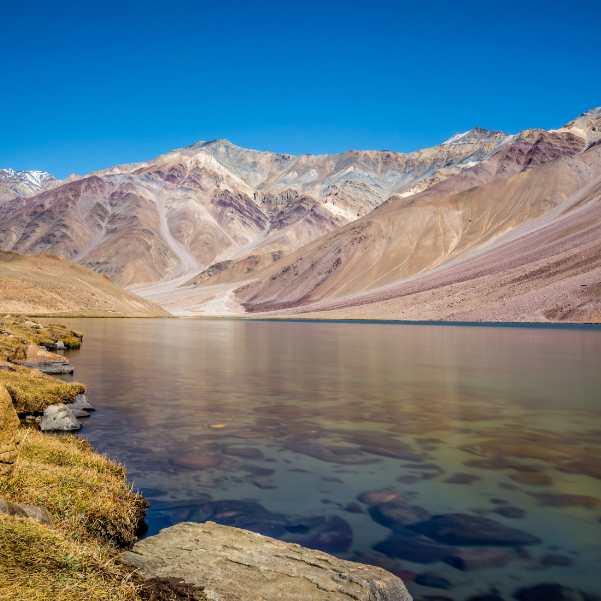 delhi to chandratal by road