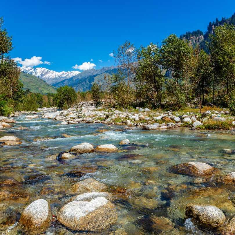 Try Trout Fishing in Tirthan Valley