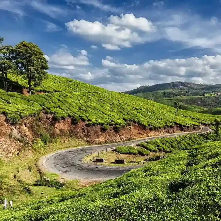 Classic Kerala Hills & Backwaters Experience