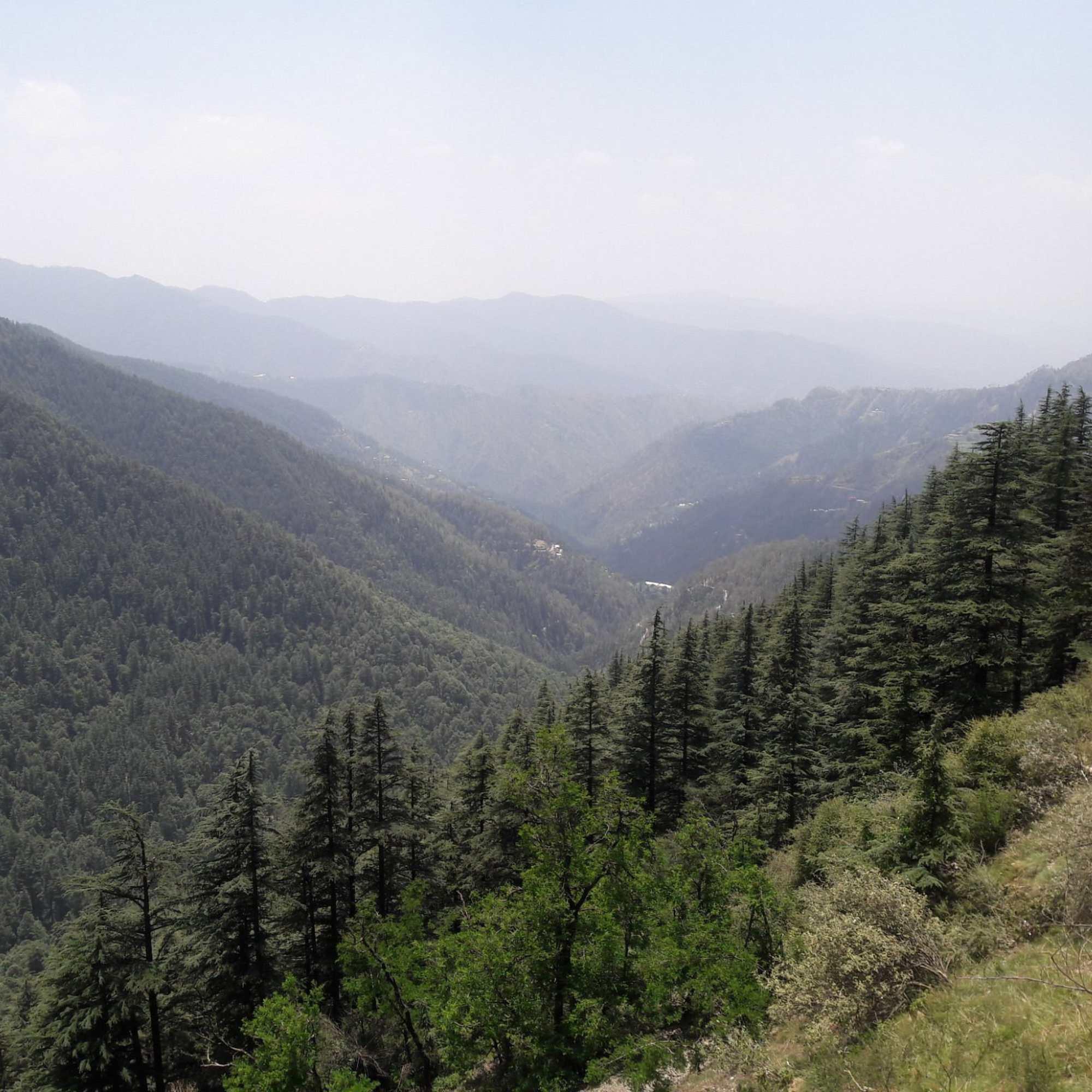 The Green Valley viewpoint on the road to Kufri