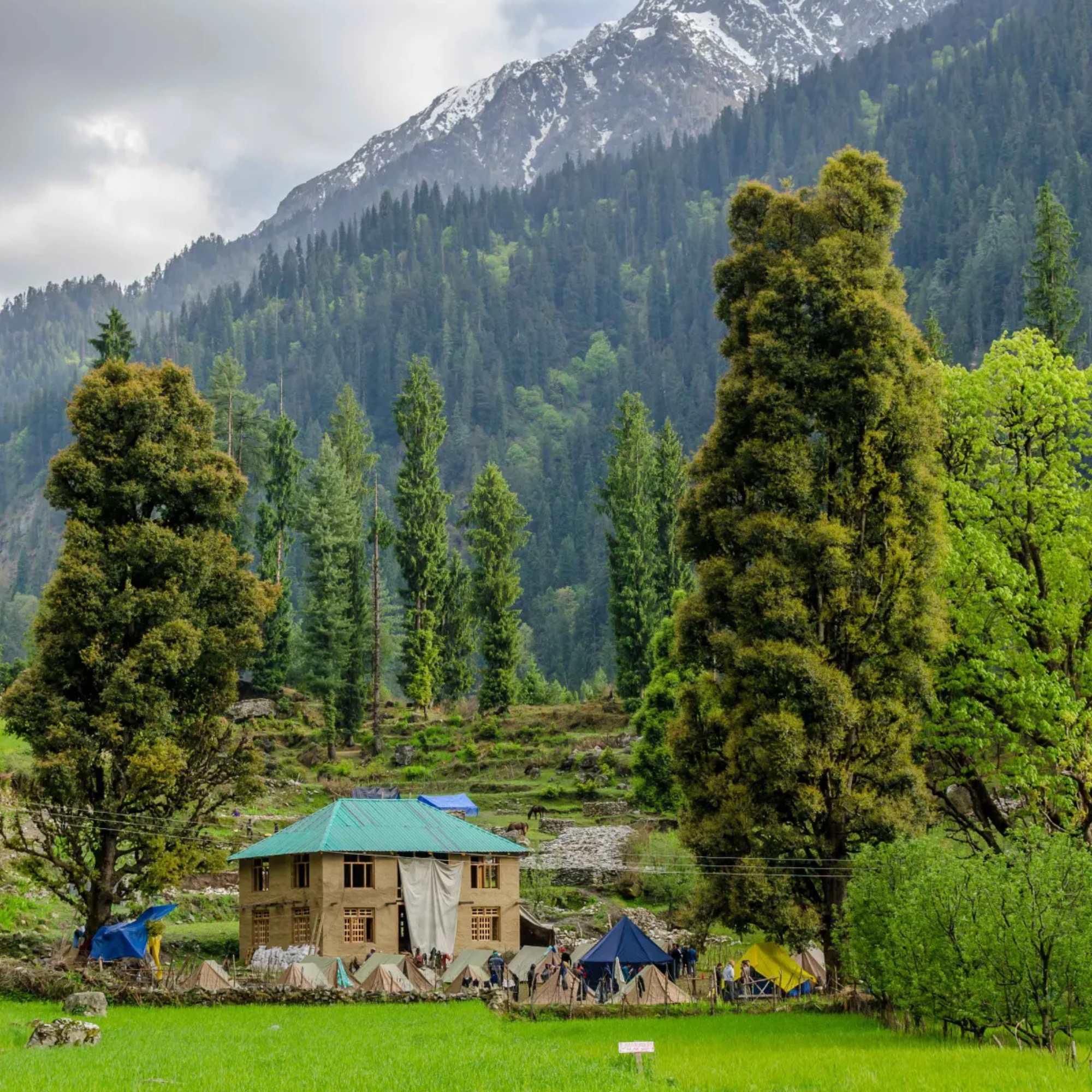 Scenic trekking trails leading to Grahan Village pass through dense forests and picturesque valleys.jpg