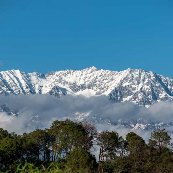 Dharamshala in December