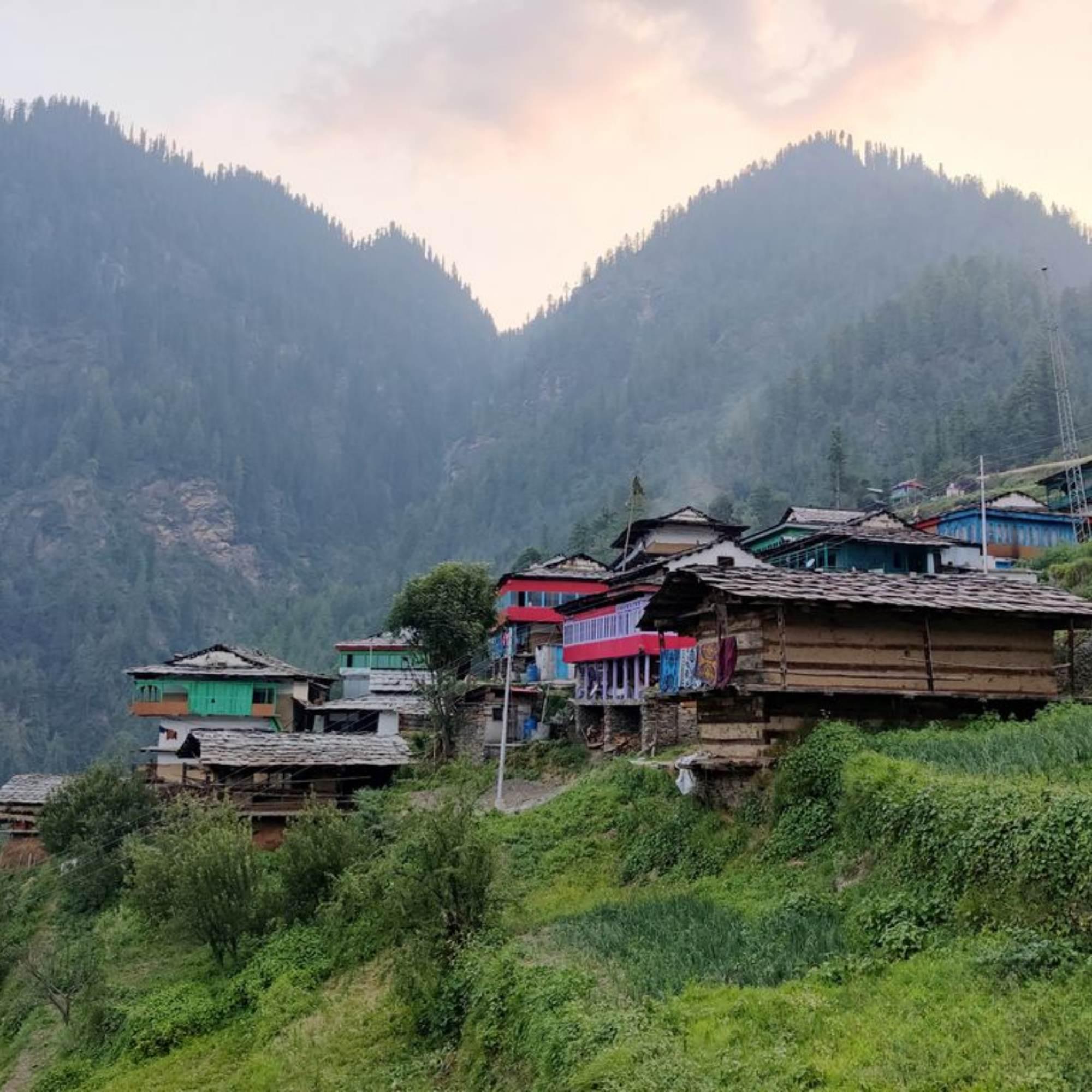 Snowfall in Shoja Himachal.jpg