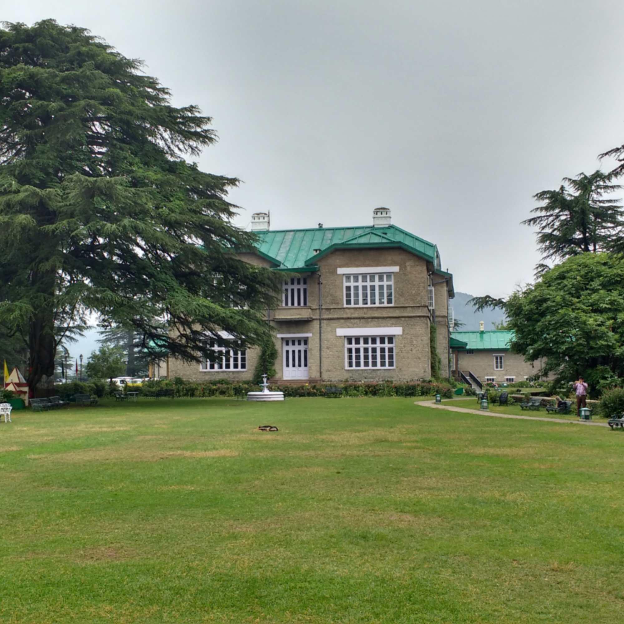 Forest covered hills and quiet roads of Chail near Shimla